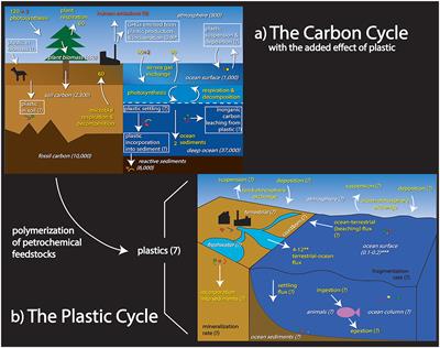 The Plastic Cycle – An Unknown Branch of the Carbon Cycle